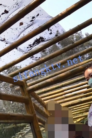 kc462（空城原创）逛公园的连衣裙少妇，淡紫花纹透明N